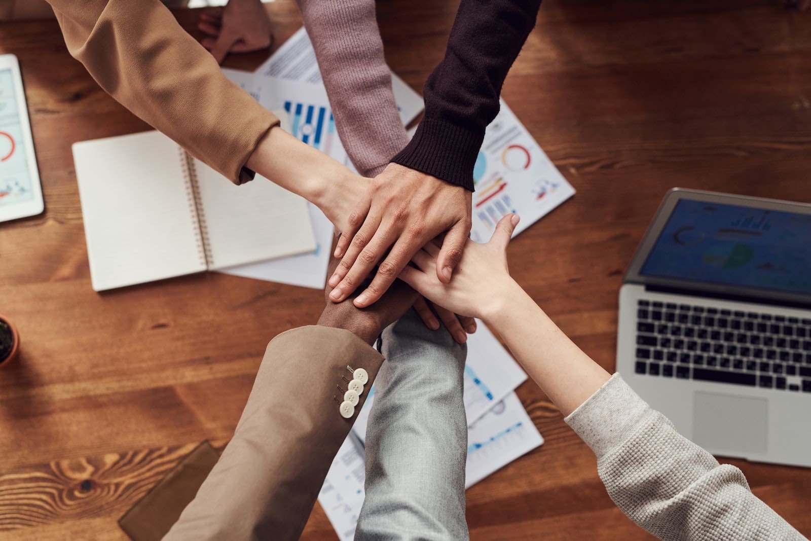 Discover the Power of Teamwork with Black Badger Software Solutions