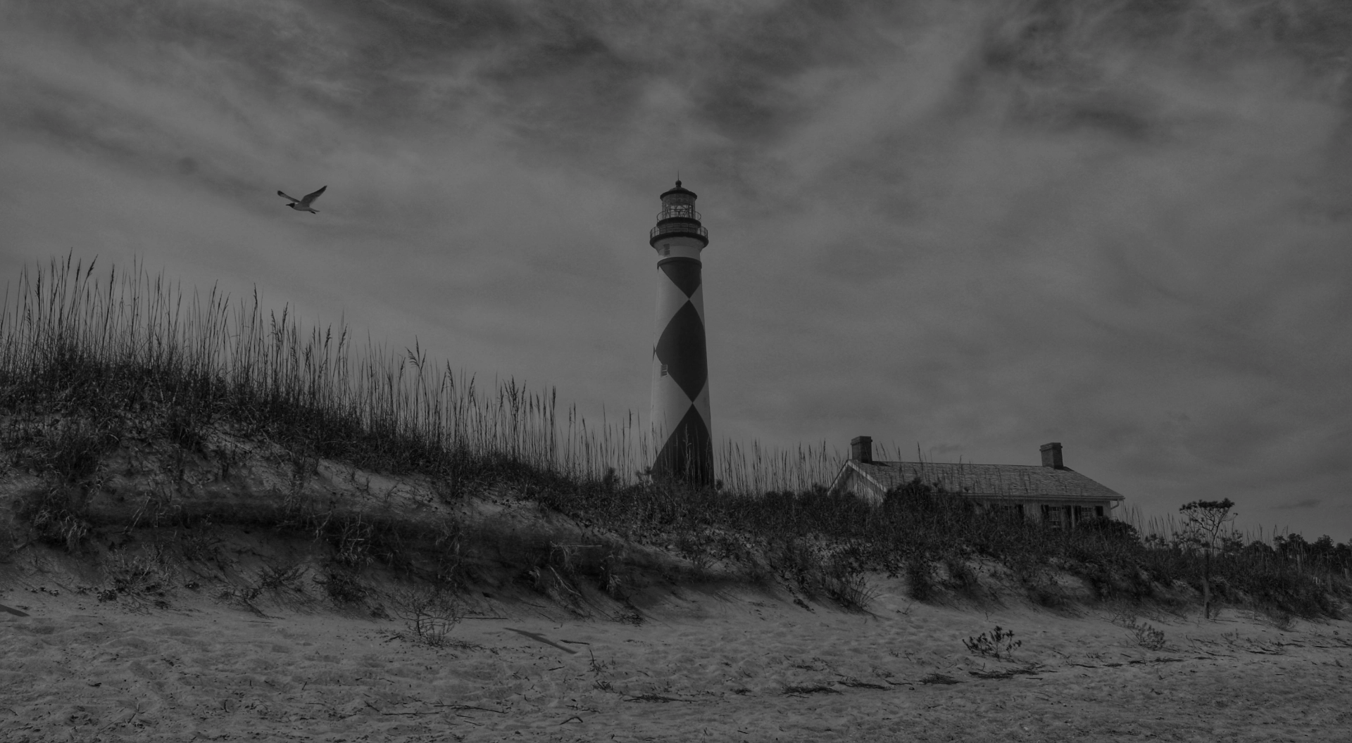Baner Image